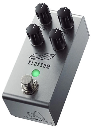 Jackson Audio Blossom 잭슨오디오 블로섬 옵티컬 컴프레서 (국내정식수입품)