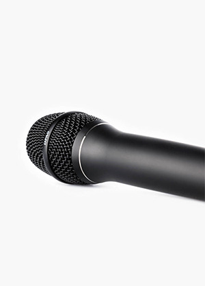 DPA 2028 Vocal Microphone 디피에이 보컬 마이크 (국내정식수입품)