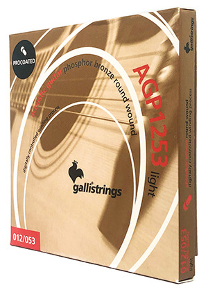 Gallistrings AGP1253 ProCoated Phosphor Bronze Light 갈리스트링스 프로코티드 파스퍼 브론즈 어쿠스틱 기타줄 라이트 (012-053 국내정식수입품)