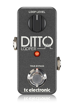 TC Electronic Ditto Looper 티씨일렉트로닉 디토 루퍼 (국내정식수입품)