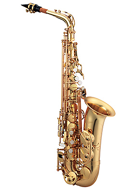Antigua AS3100LQ Alto Saxophone 안티구아 알토 색소폰 (국내정식수입품)