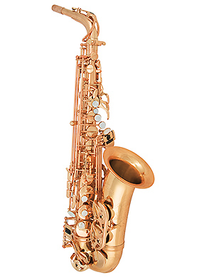 Antigua AS6200VLQ ProOne Alto Saxophone 안티구아 프로원 알토 색소폰 (국내정식수입품)