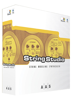 AAS String Studio VS-1 에이에이에스 스트링 스튜디오 (국내정식수입품)