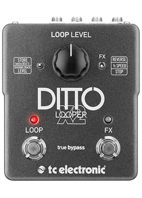 TC Electronic Ditto X2 Looper 티씨일렉트로닉 디토 엑스투 루퍼 (국내정식수입품)